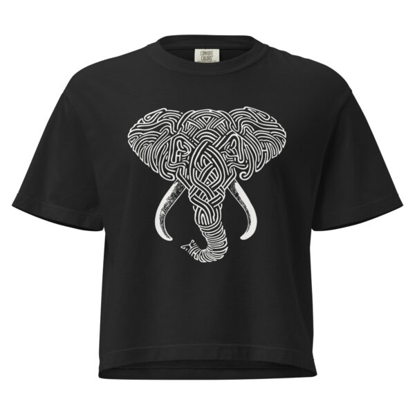 Woven Wisdom — Cropped T-Shirt (Boxy)