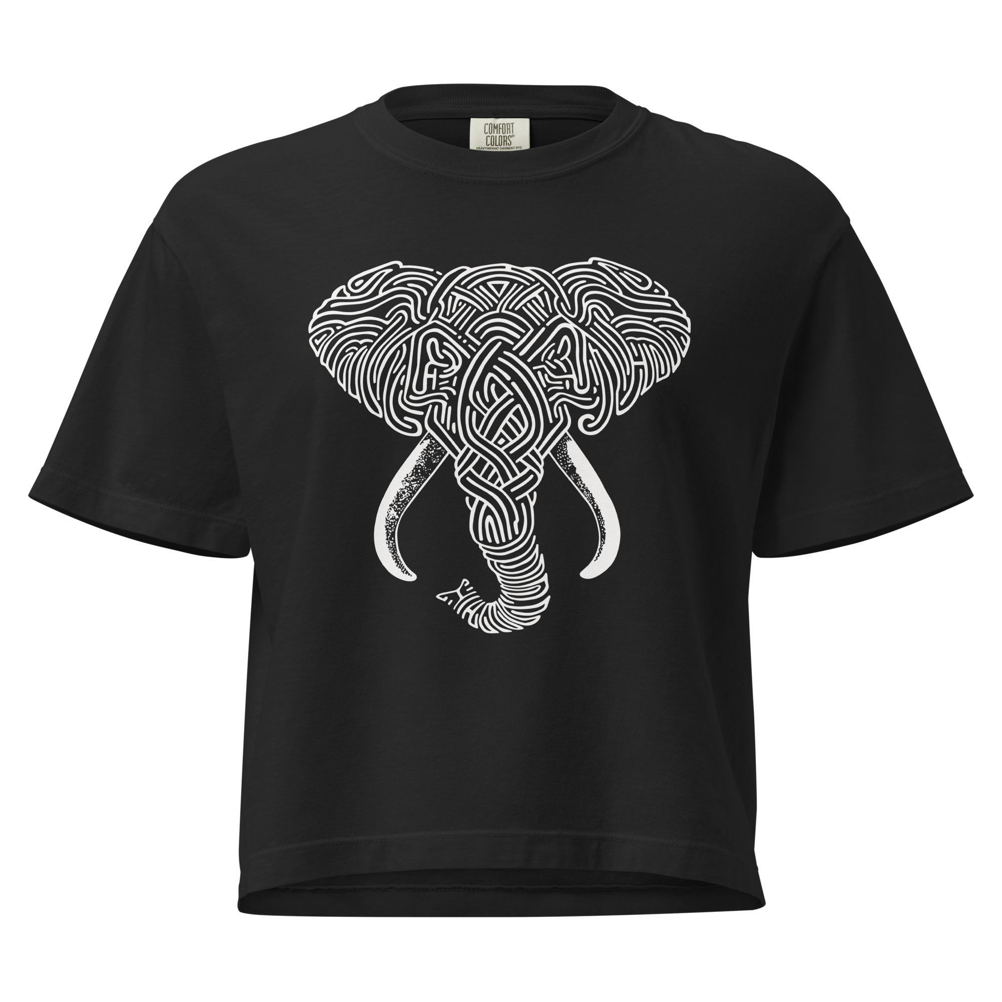 Woven Wisdom — Cropped T-Shirt (Boxy) - Image 1